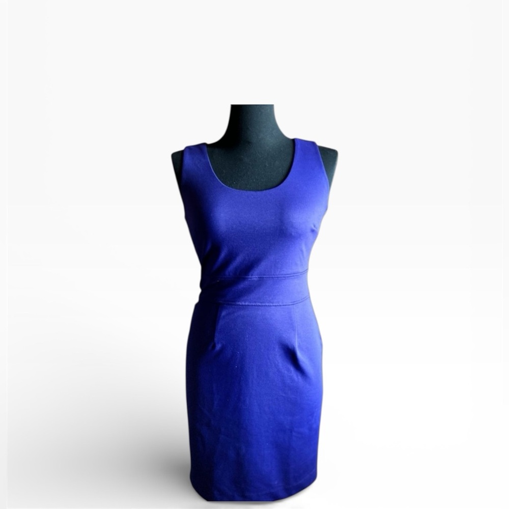 Banana Republic Purple Mini Dress size 4 EUC
